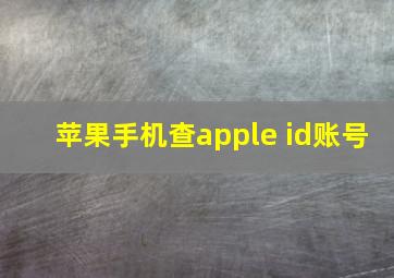 苹果手机查apple id账号